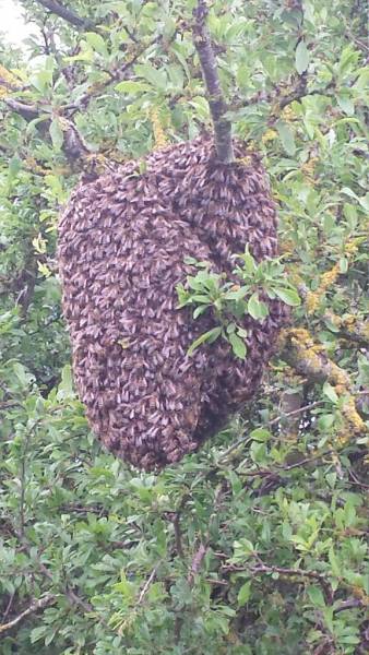 20140525_132718_zpscd7seqz8.jpg