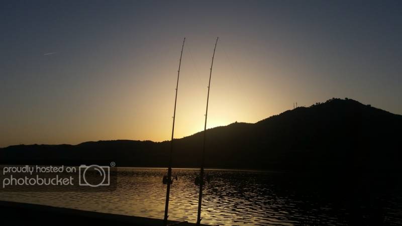 20150413_074547_1.jpg