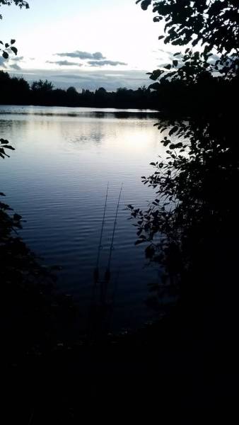 20160916_193733_zpsivblh4br.jpg