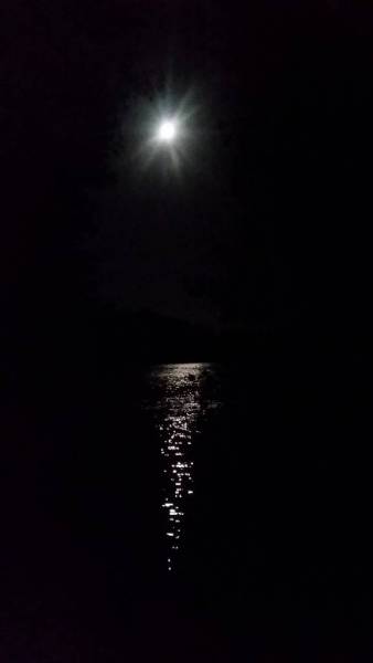 20160917_043121_zpss3pz3tzq.jpg