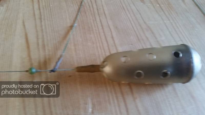 20161016_143628_zpspukoubdp.jpg
