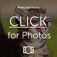 FB_IMG_1462518260765_zpsmlcypa0v.jpg