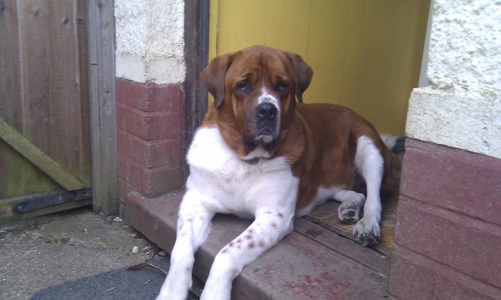 phone photos 249.jpg