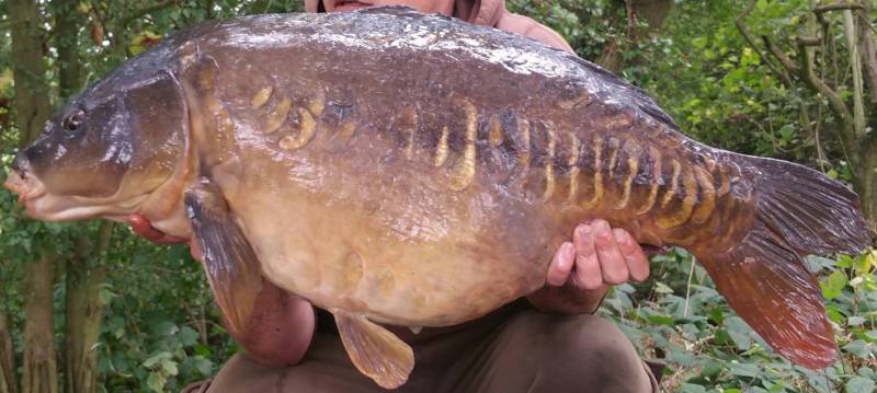 14409598_1174792962584478_851554860378966444_o (4).jpg