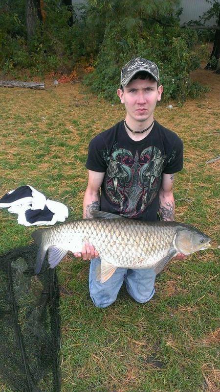 Ohio Carp