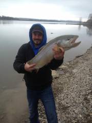 Rainbow trout out of the Glenmore Res.
