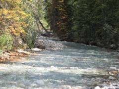 Random River in BC
