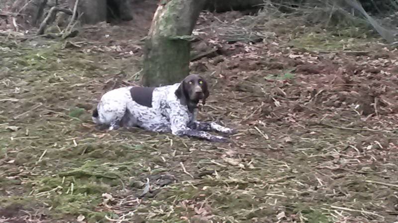 20181224_103542.jpg