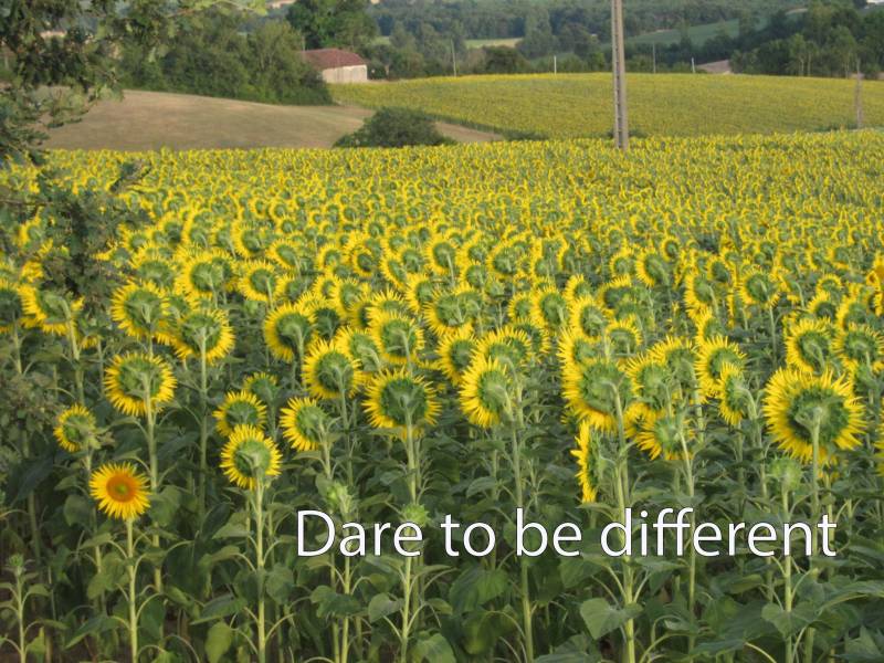 dare to be different.jpg