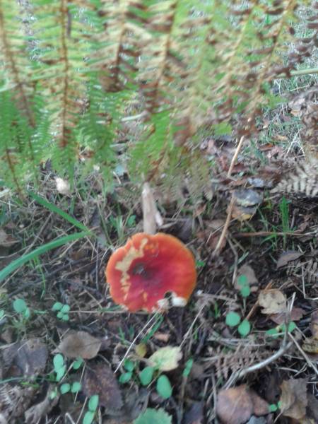 20191018_143007[1].jpg