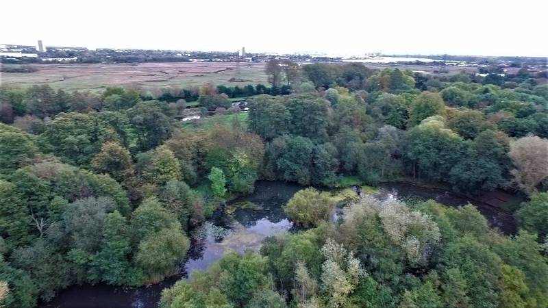 DJI_0013.jpg