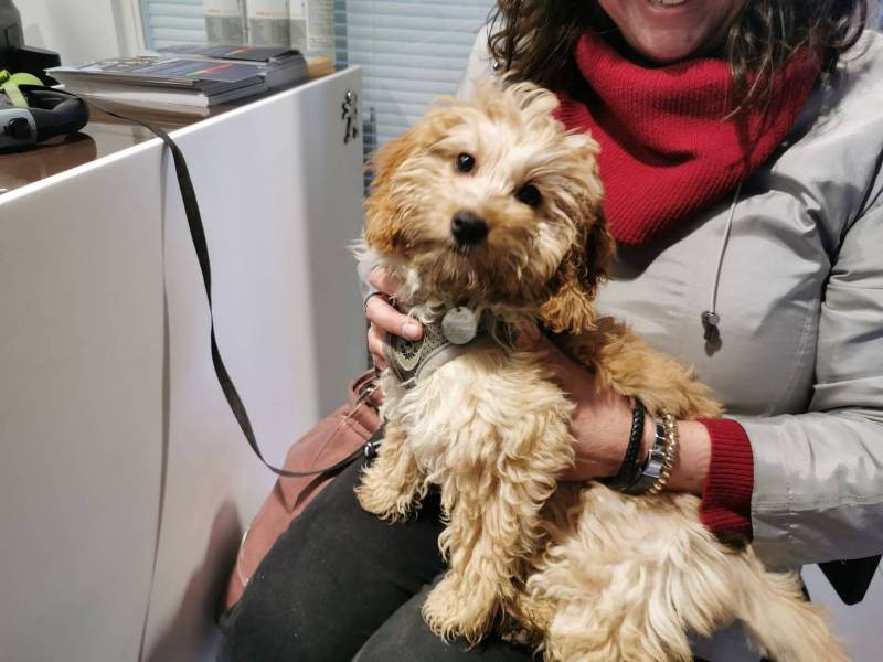 In the showroom 1.jpg