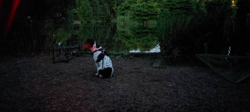 20220614_223642.jpg