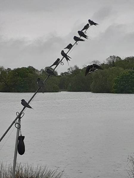 20230512_110959.jpg