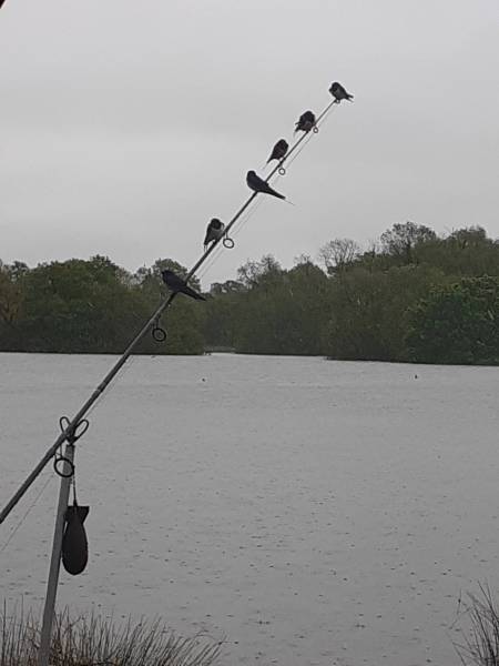 20230512_111444.jpg