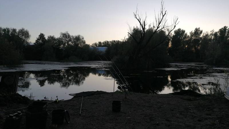 IMG-20231014-WA0001.thumb.jpeg.fd7289cff53f329b949661712ecd6fb3.jpeg