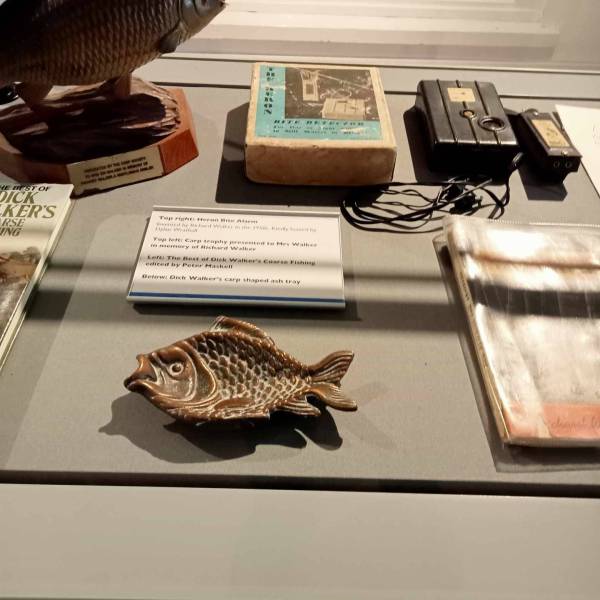 IMG_0513.jpeg