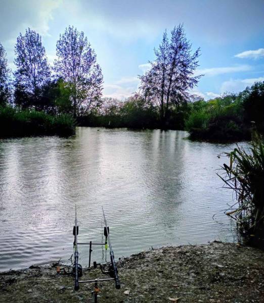 rods green lane snipe.JPG