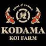 Listings Tower Kodama